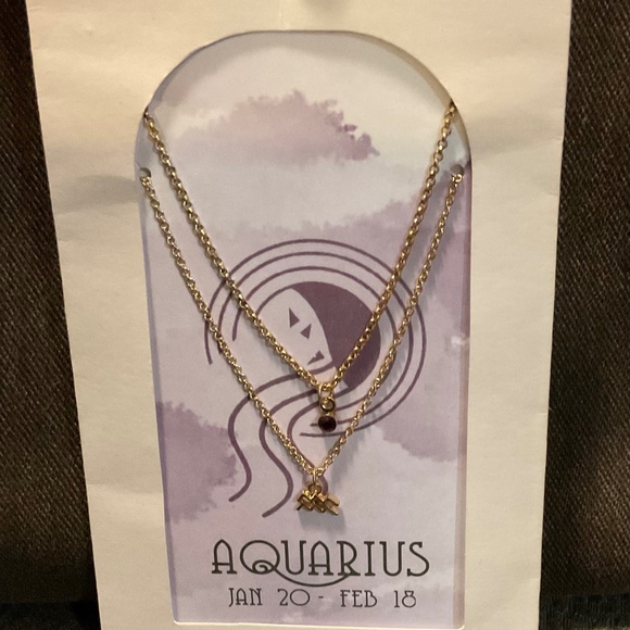 Urban Outfitters Jewelry - NWT Urban Outfitters Aquarius ♒️ Zodiac Charm & Birthstone Necklace